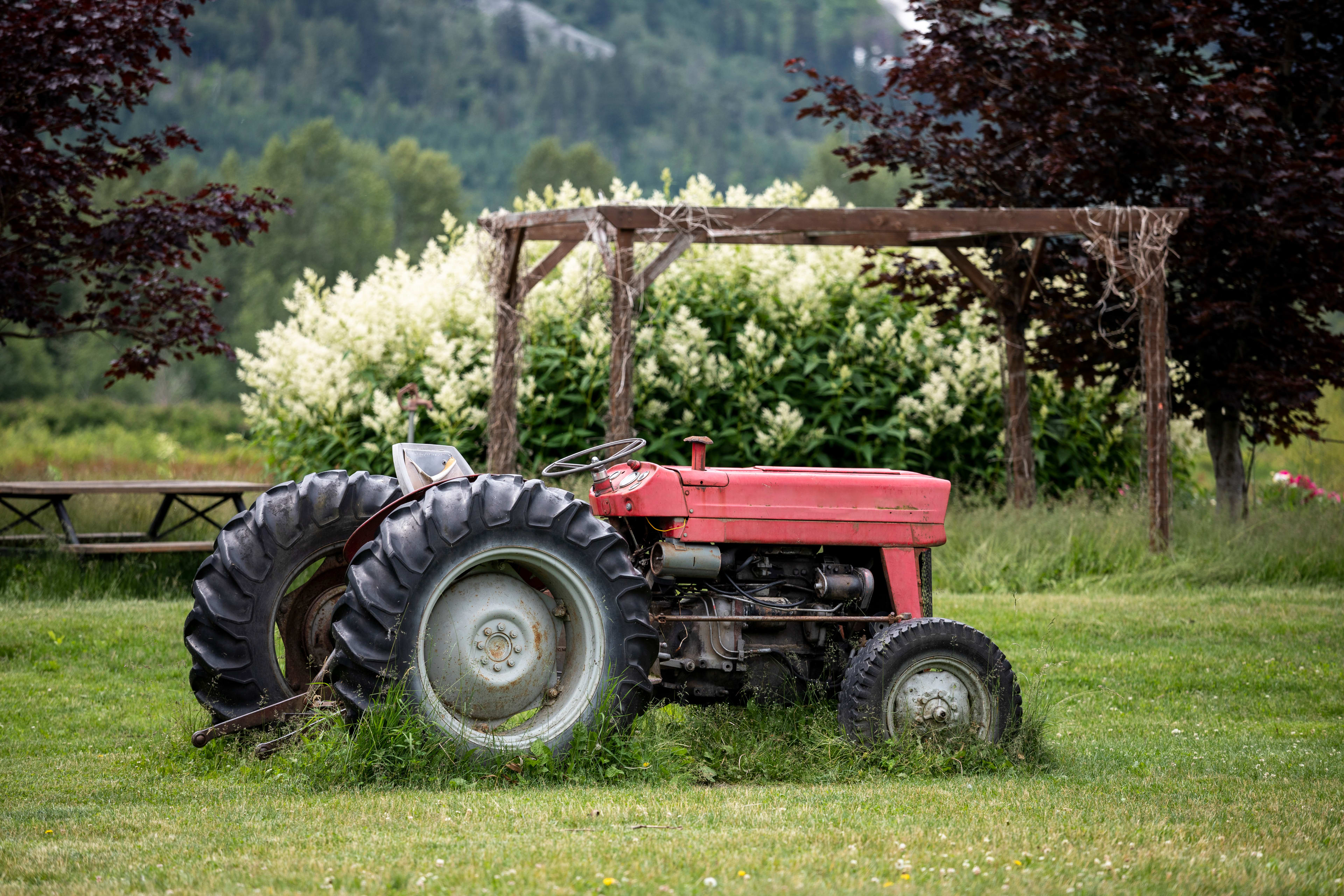 Red Tractor Parked on Grassy Lawn with Semi Pneumatic Tires