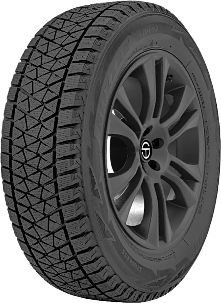 Bridgestone Blizzak DM-V2 tires