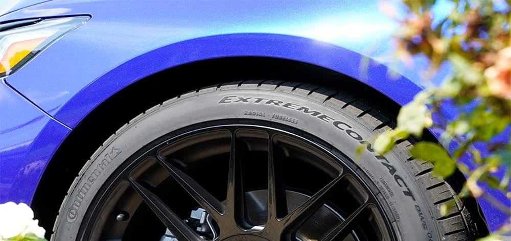 Bridgestone Potenza Sport A/S vs Continental ExtremeContact DWS06 Plus tires on longevity