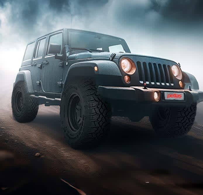 Petlas Peaklander M/T