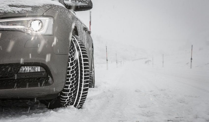 Falken Aklimate vs Nokian WR G4