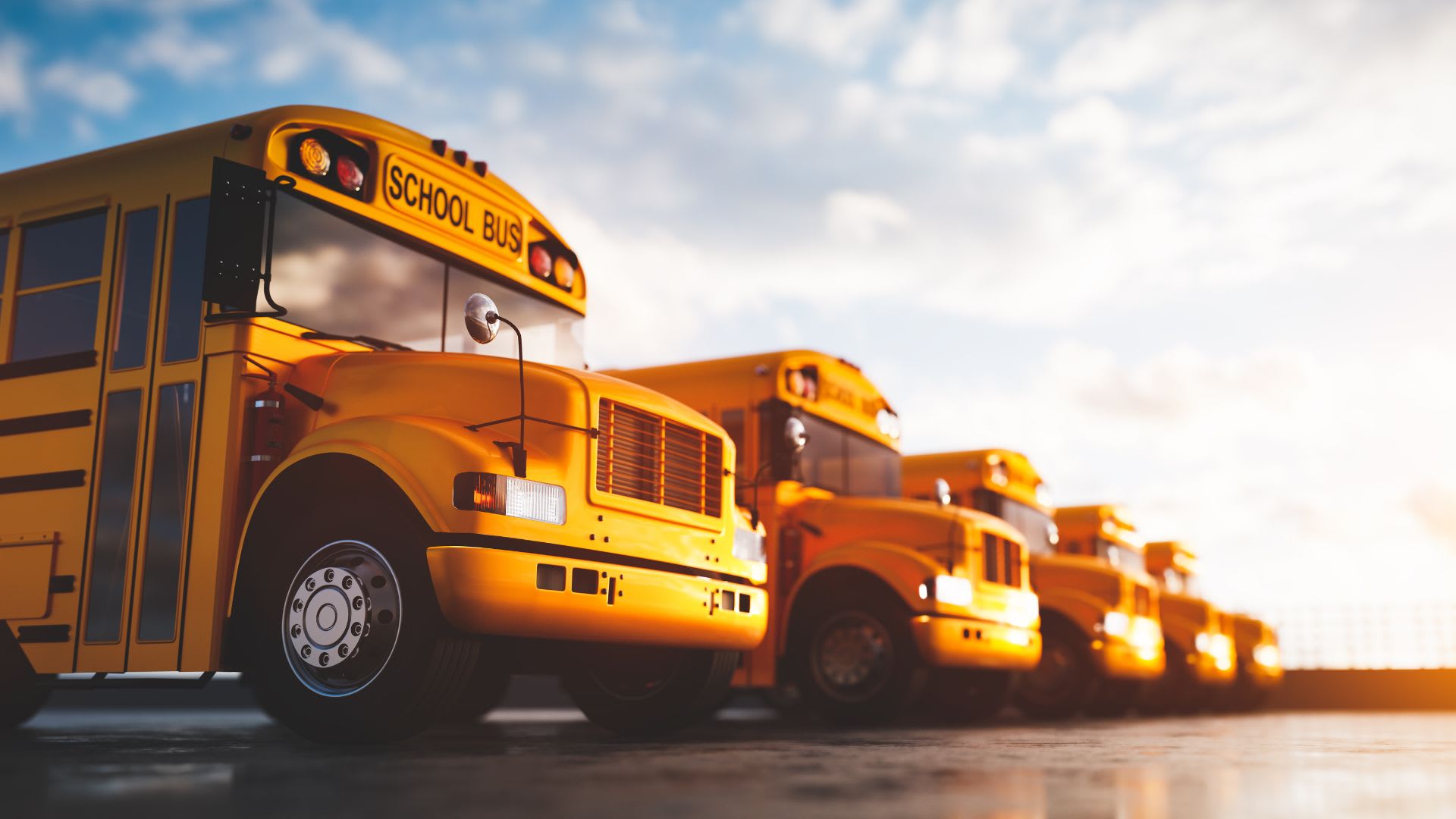 SimpleBusiness: School buses