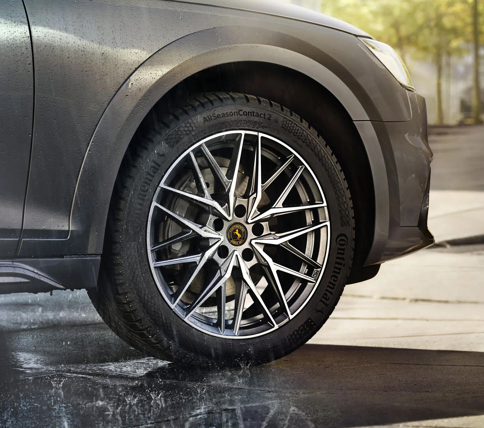Choosing Between Summer and All-Season Tires