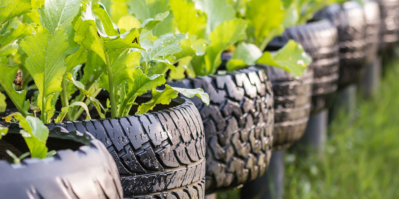 Tires as planters