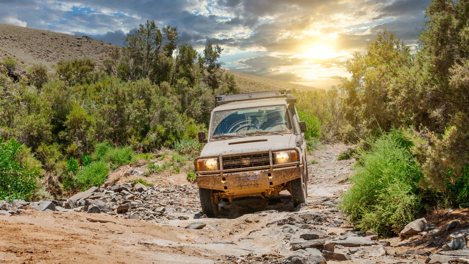 Continental TerrainContact A/T tires