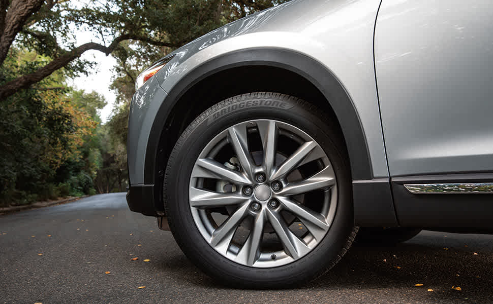 Bridgestone Blizzak DM-V2