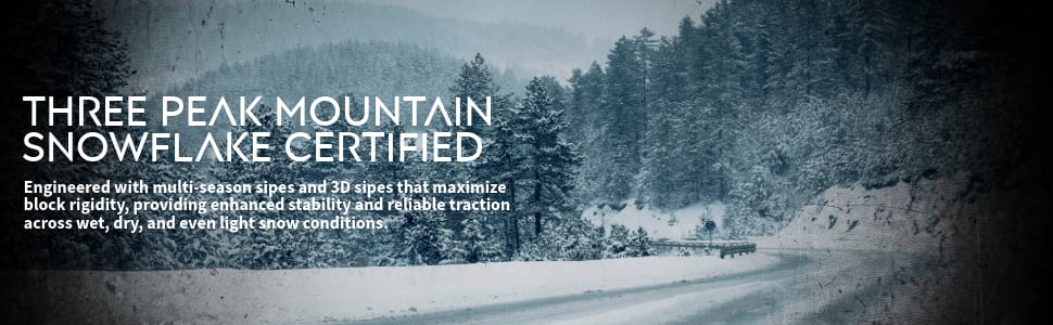 Nexen Roadian HTX2 Three Peak Mountain Snowflake certified