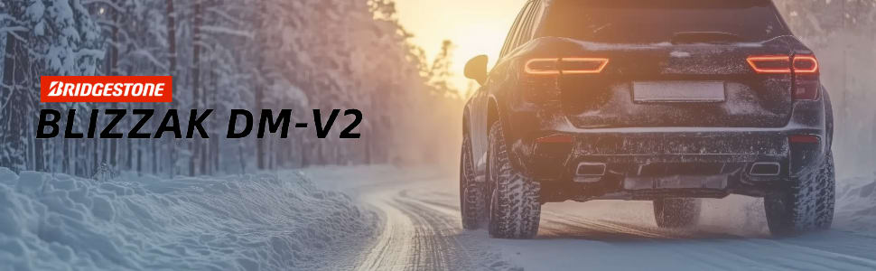 Bridgestone Blizzak DM-V2 tires