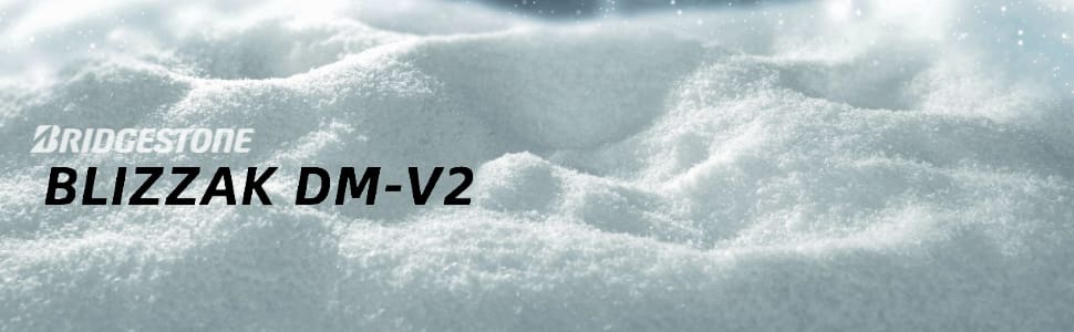 Bridgestone Blizzak DM-V2 tires footer