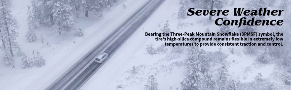 Bridgestone Blizzak WS-90 tires Severe Weather Confidence
