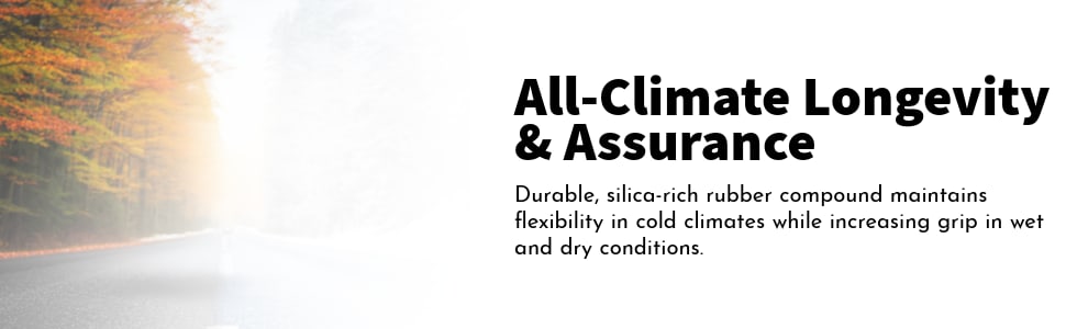 Toyo Celsius II tires All-Climate Longevity & Assurance