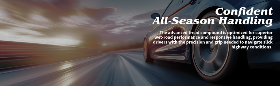 Bridgestone Alenza Prestige tires Confident all-season handling