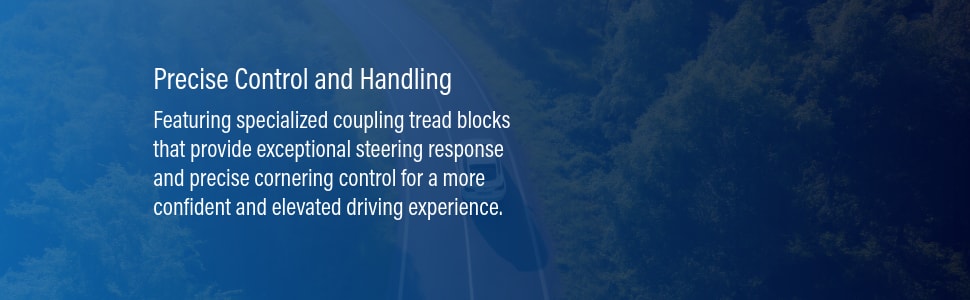 Celimo Salient CS210 tires Precise control and handling