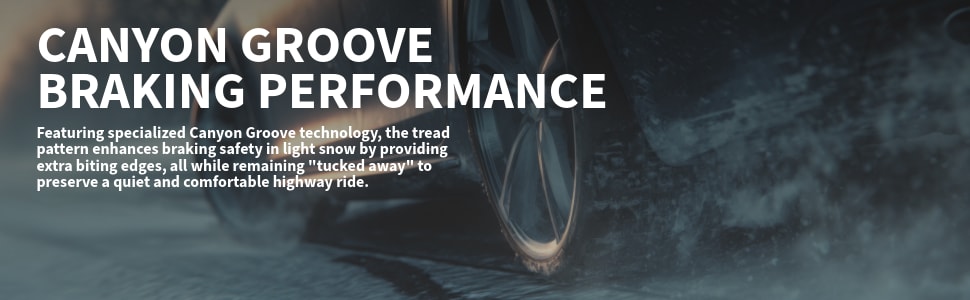 Falken Azenis FK460 A/S tires Canyon Groove Braking performance