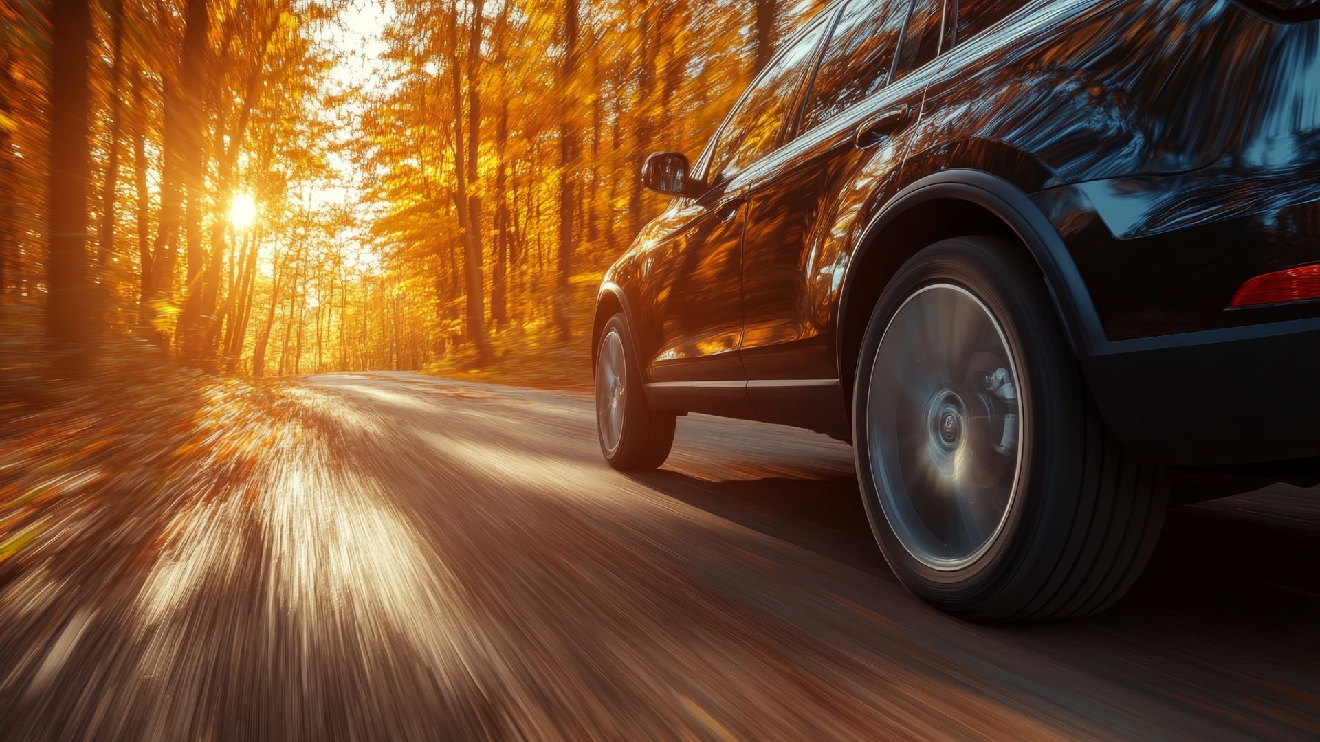 Vercelli I tires driving in the woods