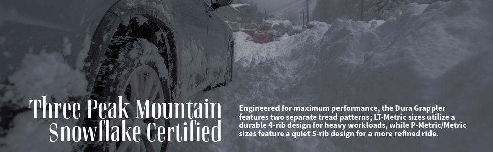 Nitto Motivo 365 tires Three Peak Mountain Snowflake certified