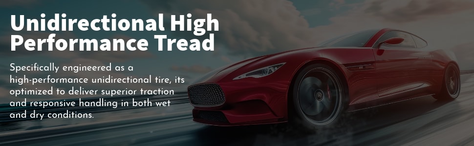 Lexani LX-Nine tires Unidirectional high performance tread