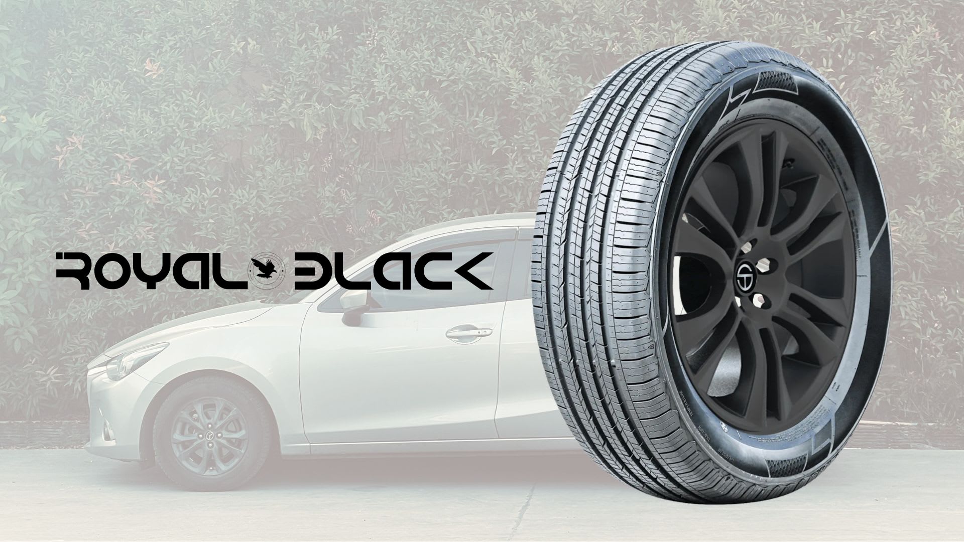 Royal Black Touring HP Tire Review