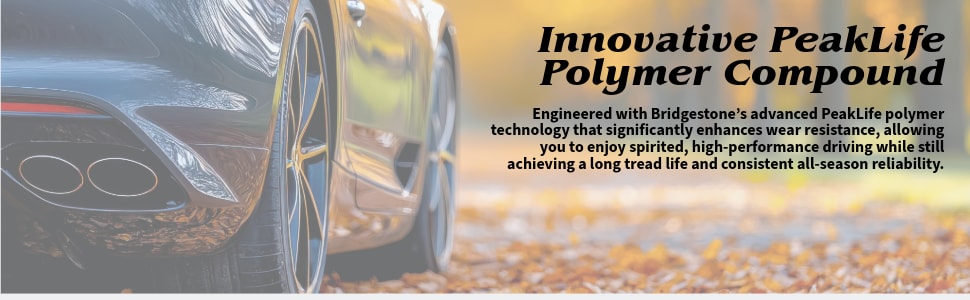 Bridgestone Potenza Sport A/S tires Innovative PeakLife Polymer Compound