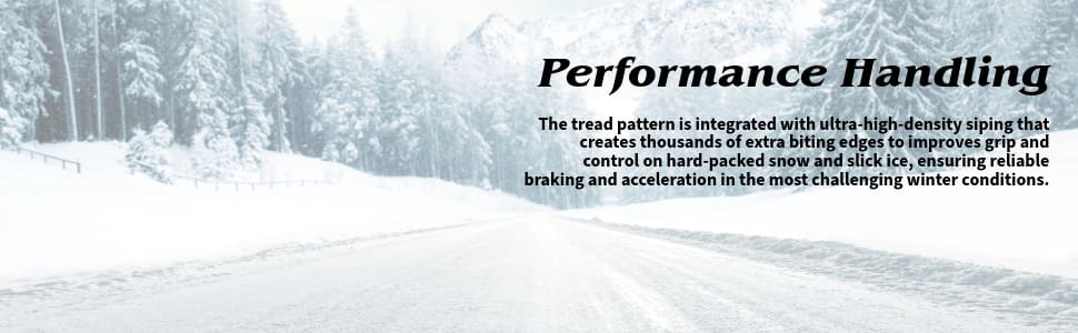 Bridgestone Potenza Sport A/S tires Performance Handling