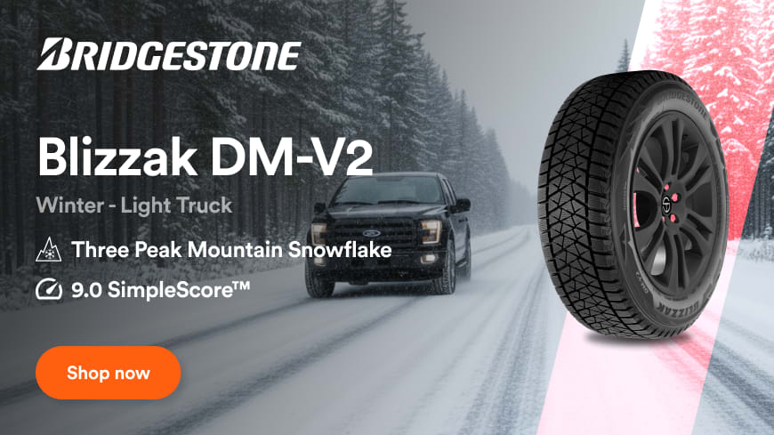 Buy Bridgestone Blizzak DM-V2 tires