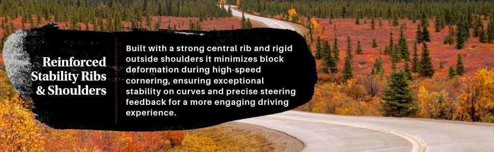 Kumho Ecsta PA51 tires Reinforced Stability Ribs & Shoulders