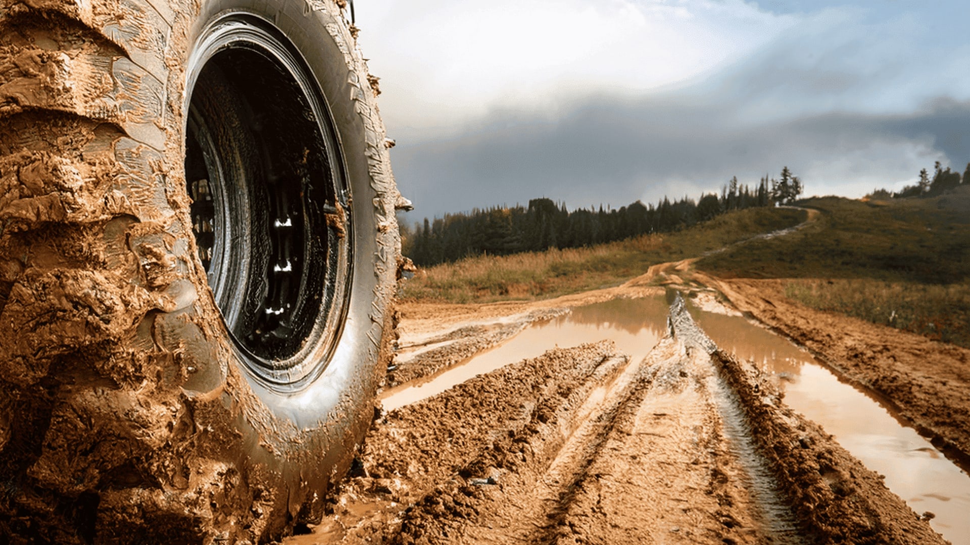 SimpleTire’s view on Pegasus ATX 4S tires