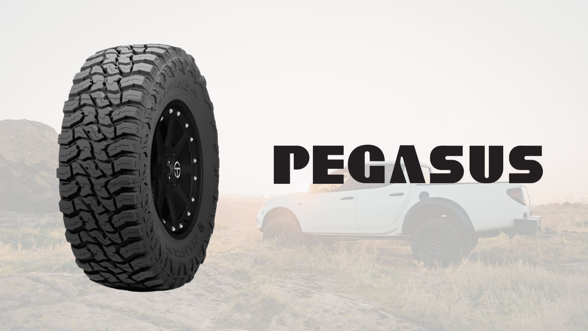 Pegasus MTX Tire Review
