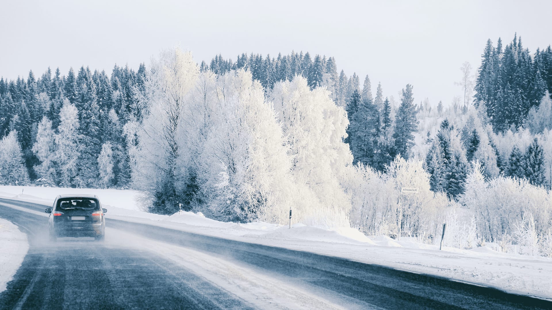 Bridgestone Weatherpeak Tires