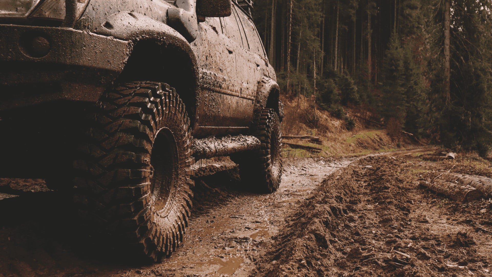 Cosmo Mud Kicker tires