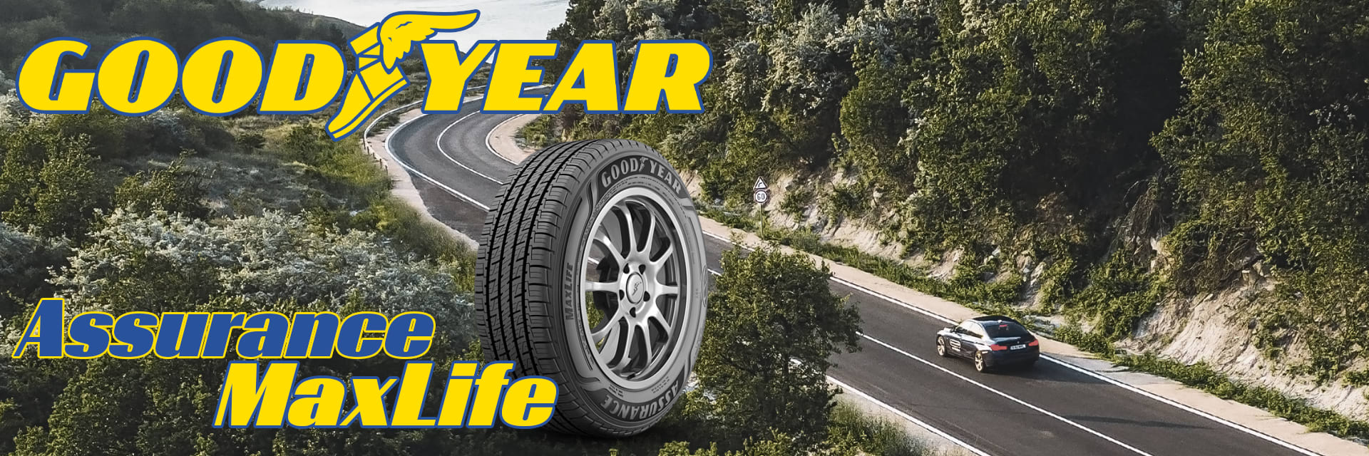 Goodyear Assurance MaxLife tires