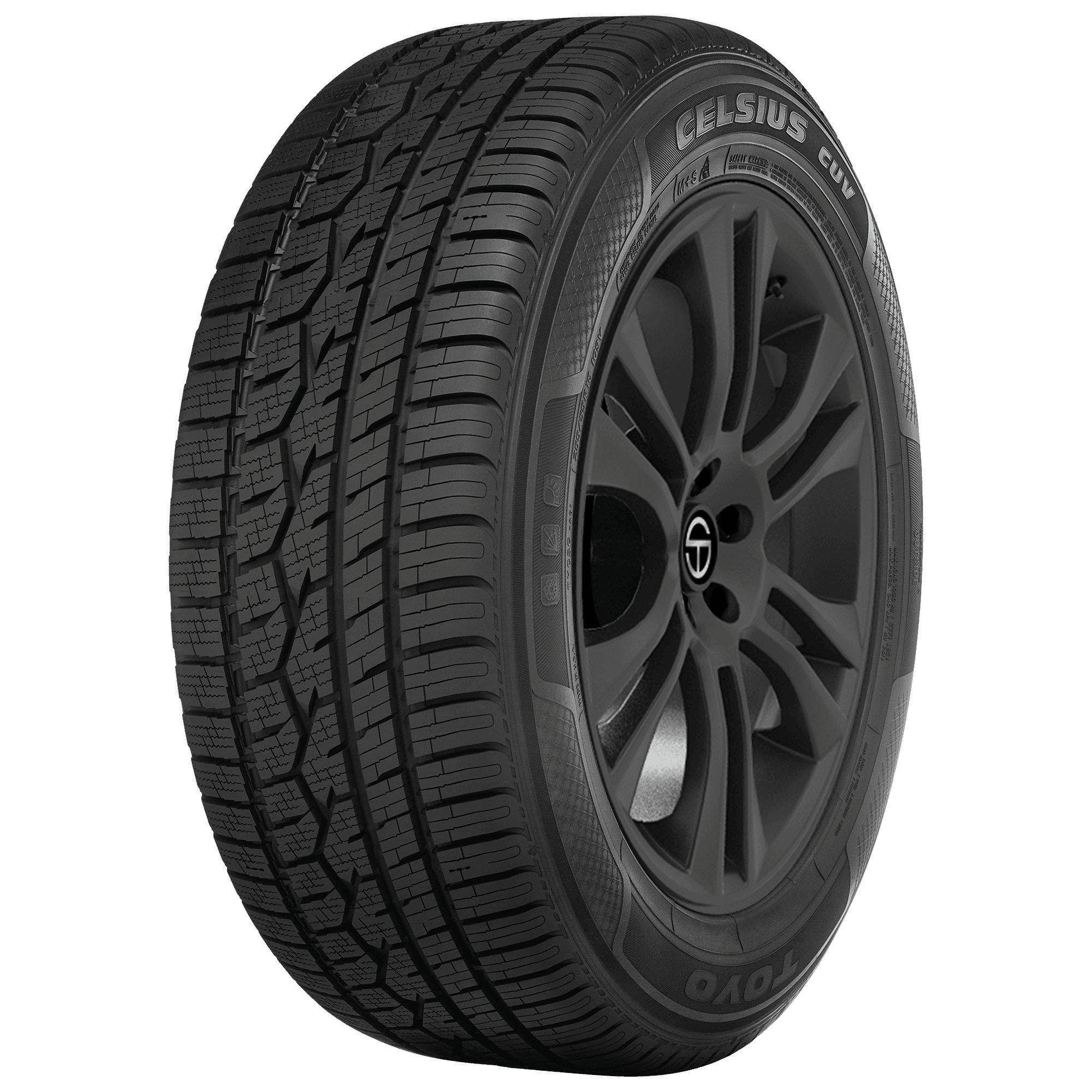 Toyo