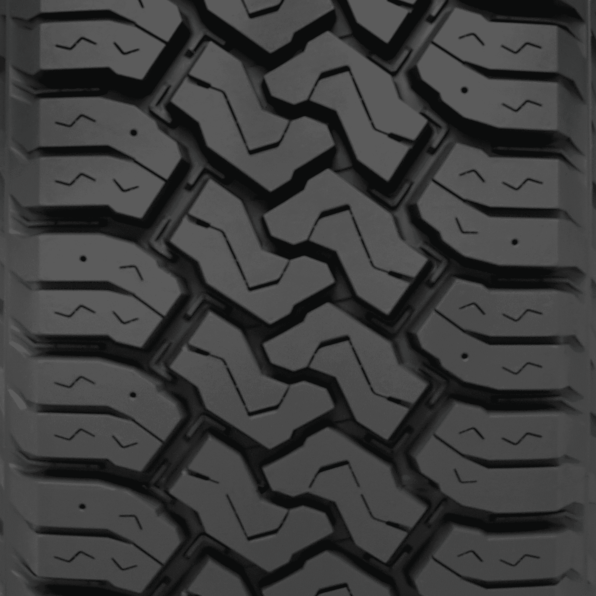 Toyo