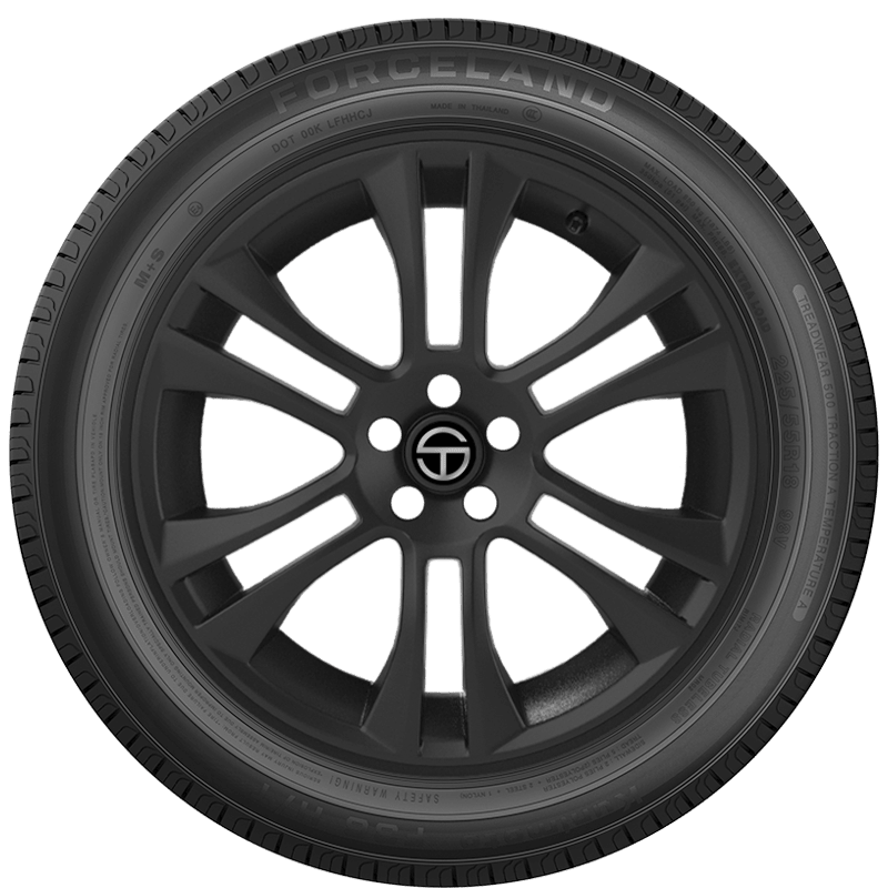 FORCELAND KUNIMOTO F36 H/T Photo 5