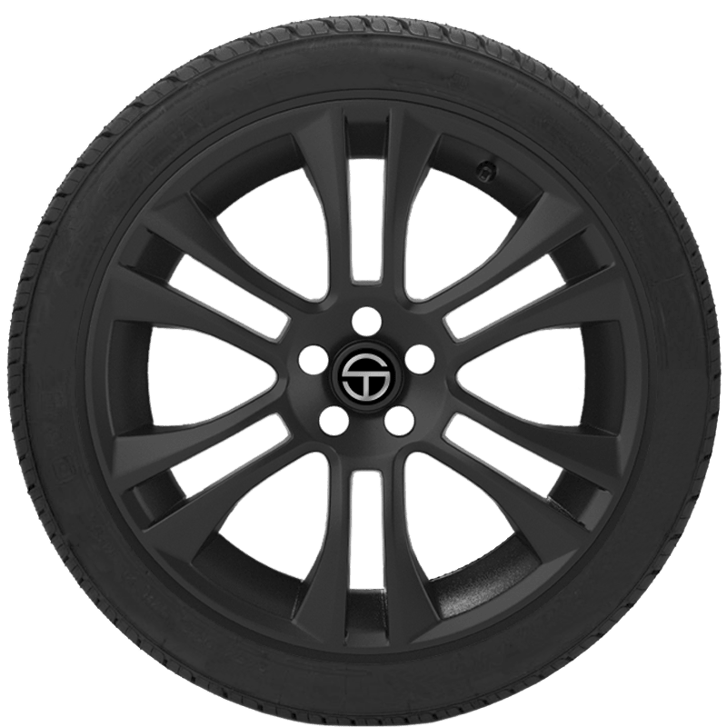 Buy Nankang NS-20 Tires Online | SimpleTire