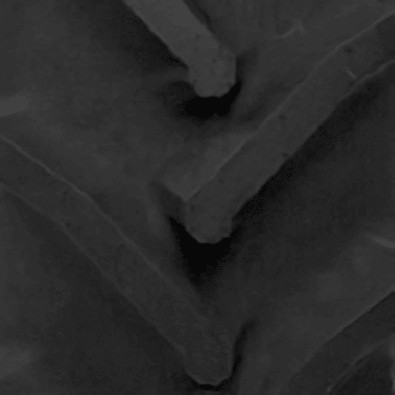 Titan