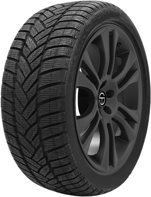 Buy Dunlop SP Winter Sport 4D ROF Tires Online | SimpleTire