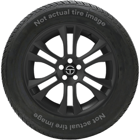 Buy Dunlop Winter Sport 5 SUV Tires Online | SimpleTire