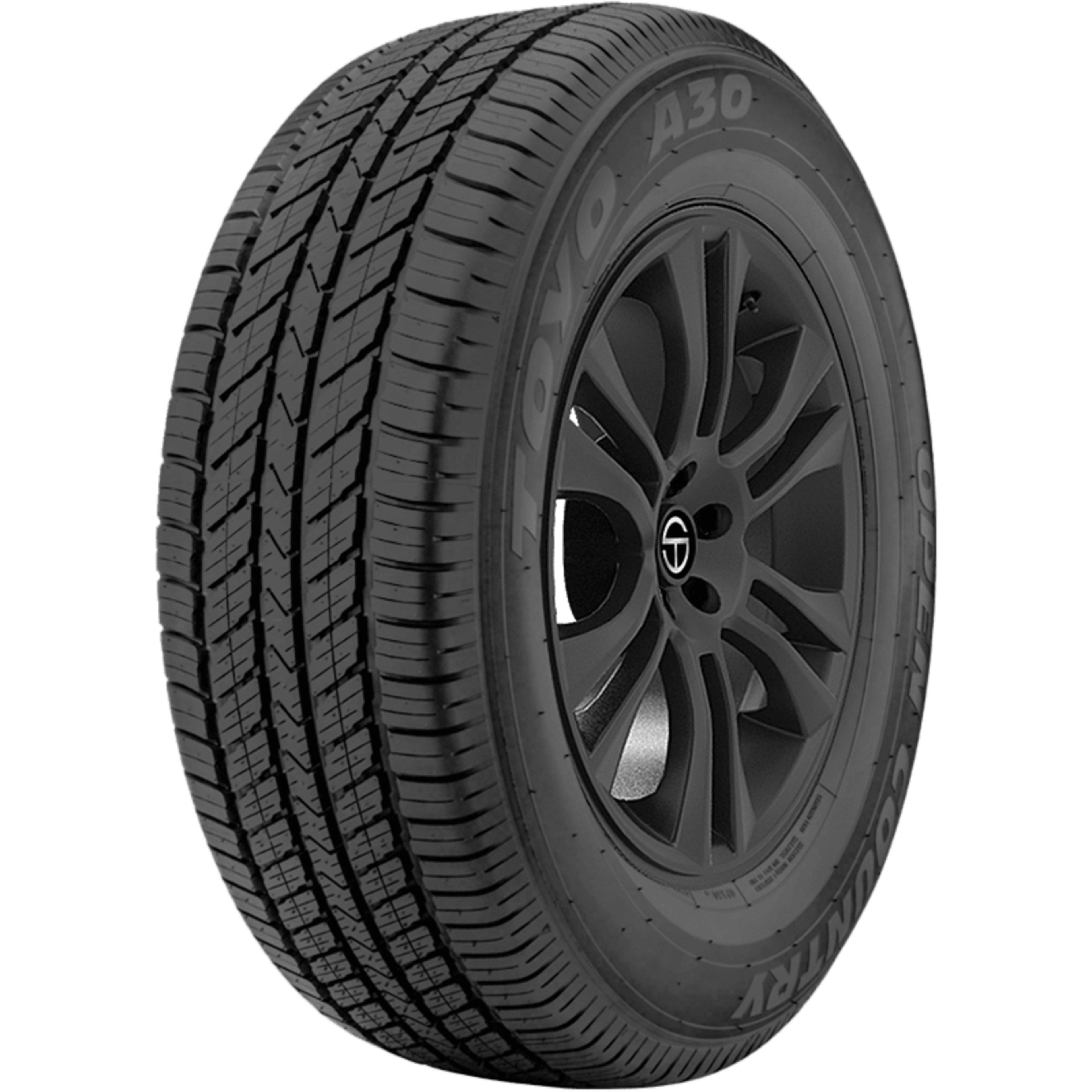 Toyo