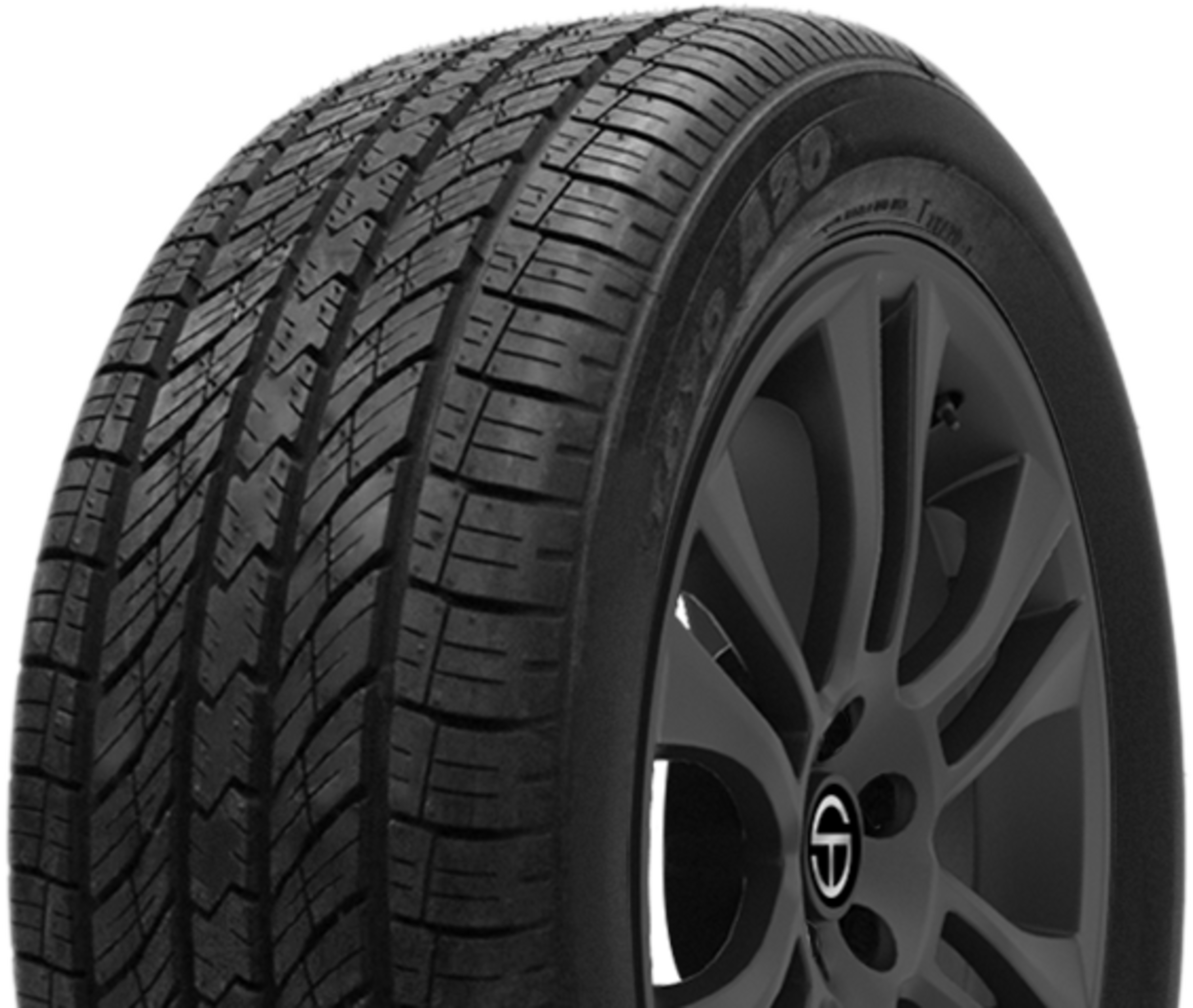 Toyo