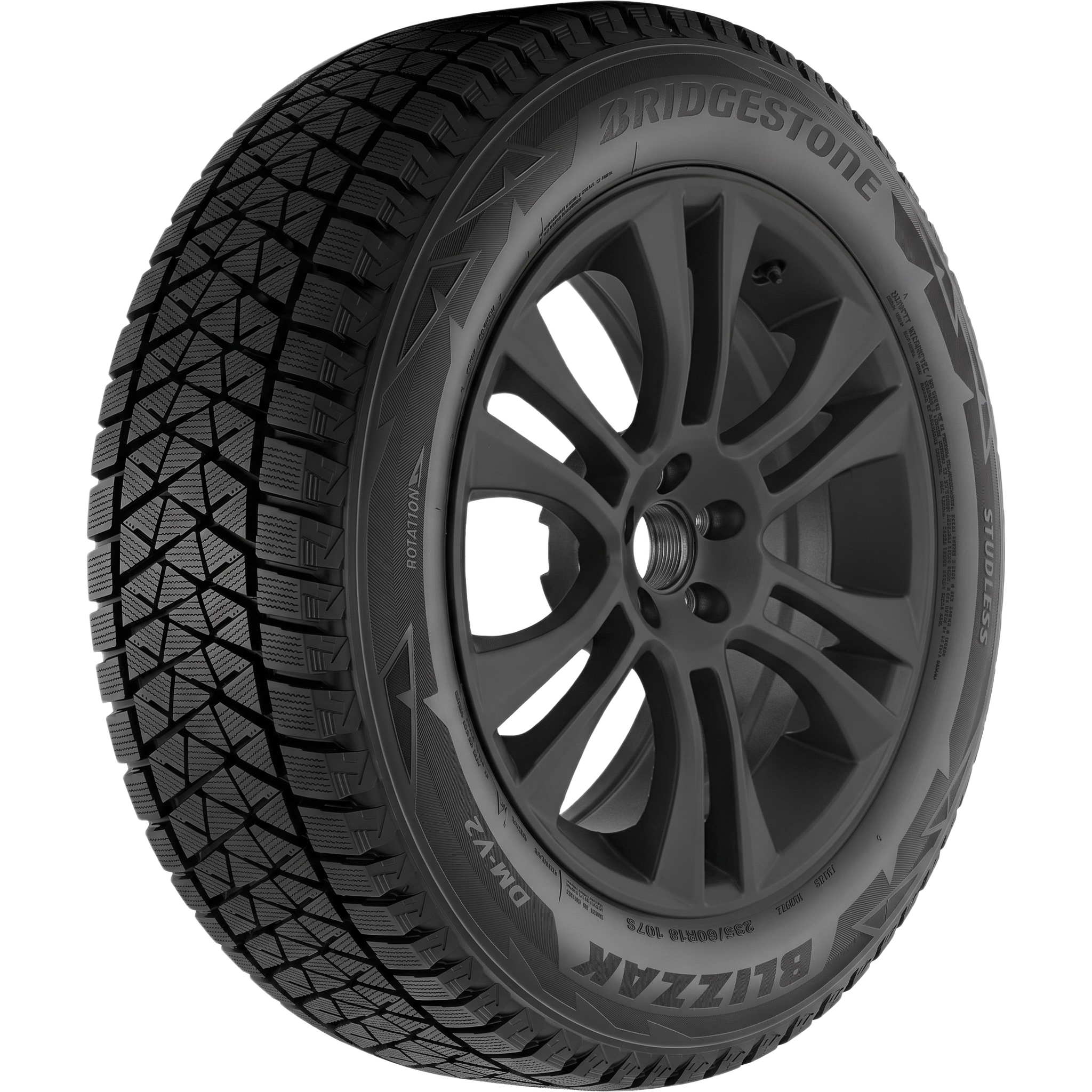 bridgestone-blizzak-dm-v2.png