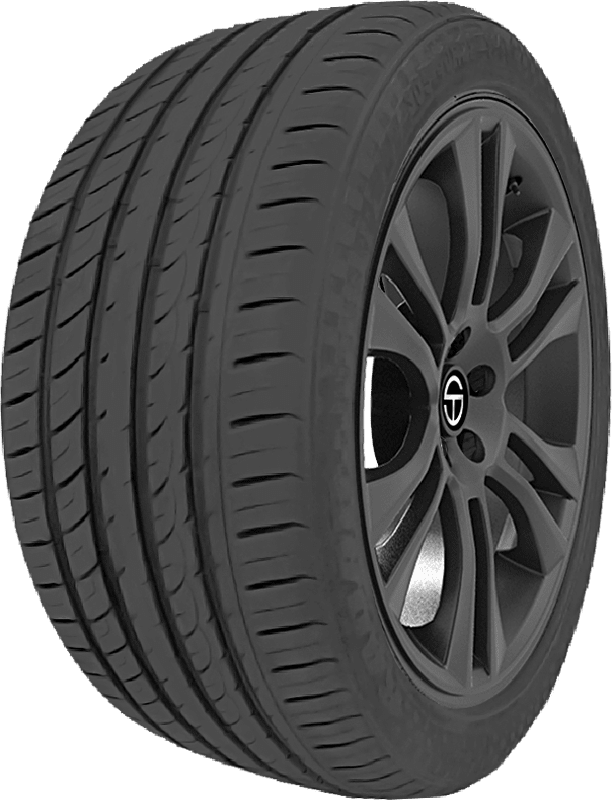 Buy Radar DIMAX R8+ Tires Online | SimpleTire