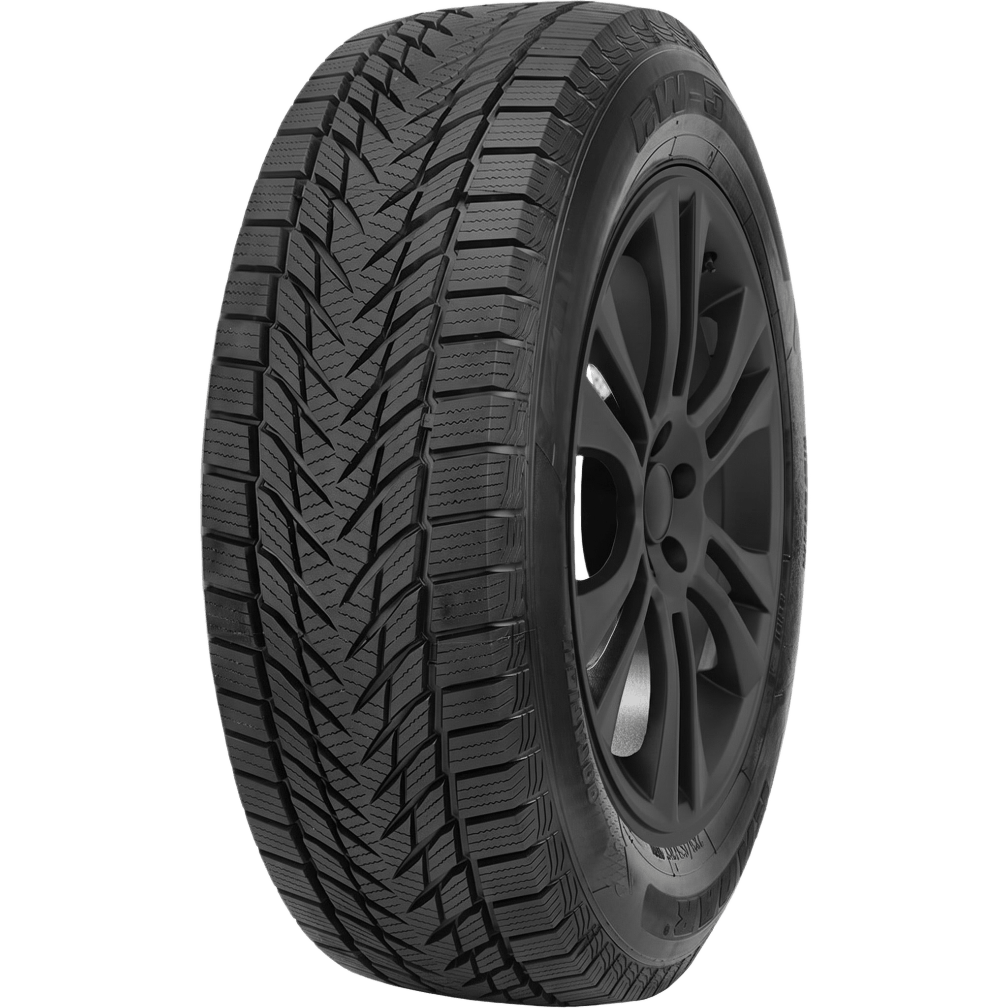 Radar RW-5 Winter Passenger Tires Online