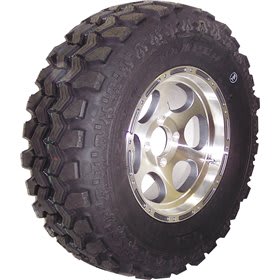 Interco Radial Racing Rear Track/Competition Passenger Tires Online